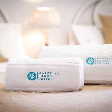 Apartamento Banus - Centre Soriano 56 *