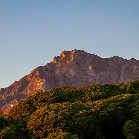 Banus - Centre Soriano 56 Marbella