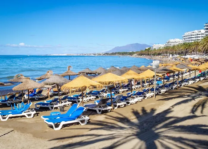 Banus - Centre Soriano 56 *